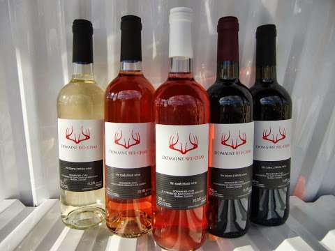 Vignoble Domaine Bel-Chas Vignoble Domaine Bel-Chas